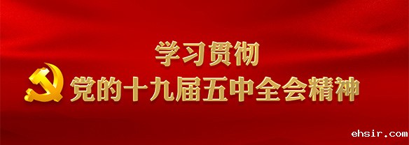 学习贯彻党的十九届五中全会精神
